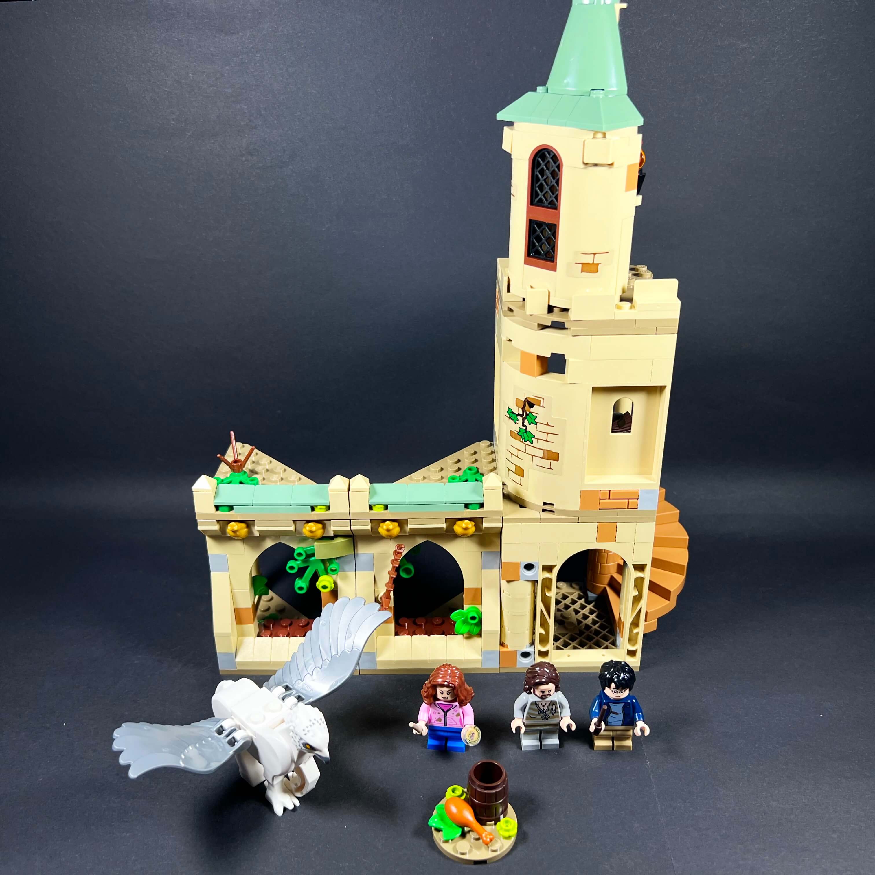 LEGO 76401 La cour de Poudlard : le sauvetage de Sirius