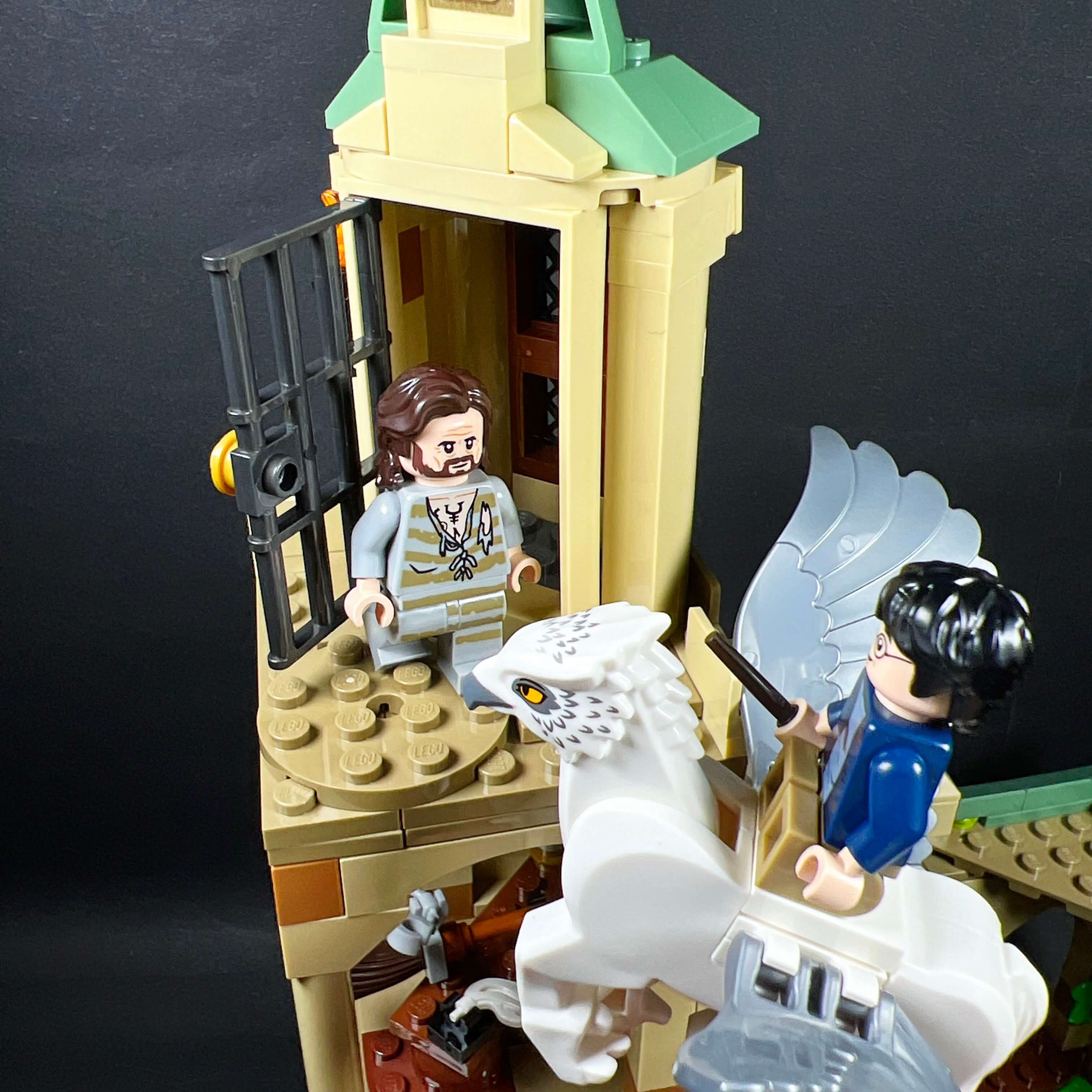 LEGO 76401 La cour de Poudlard : le sauvetage de Sirius