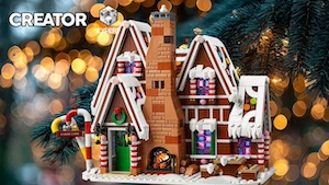 Winter Village Collection