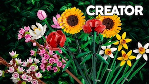 Botanical Collection