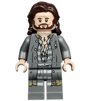 Sirius Black hp174 - Figurine Lego Harry Potter à vendre pqs cher