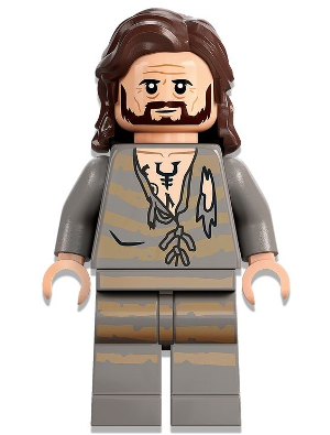 Sirius Black hp345 - Figurine Lego Harry Potter à vendre pqs cher