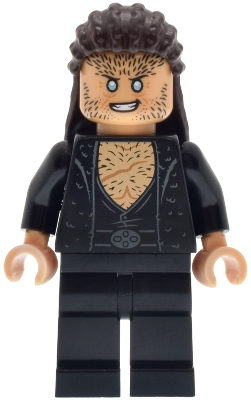 Minifigure LEGO Harry Potter hp636 Fenrir Greyback: best price and deals - Temple of Bricks