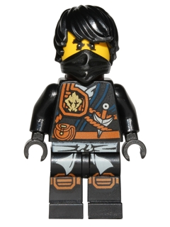 Cole njo202 - Lego Ninjago minifigure for sale at best price