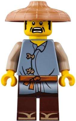 Ray njo411 - Lego Ninjago minifigure for sale at best price