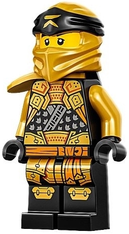 Cole njo758 - Lego Ninjago minifigure for sale at best price