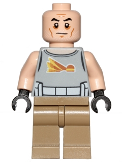 Commander Gregor sw0748 - Lego Star Wars minifigure for sale at best price