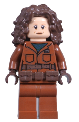 Peli Motto sw1210 - Lego Star Wars minifigure for sale at best price