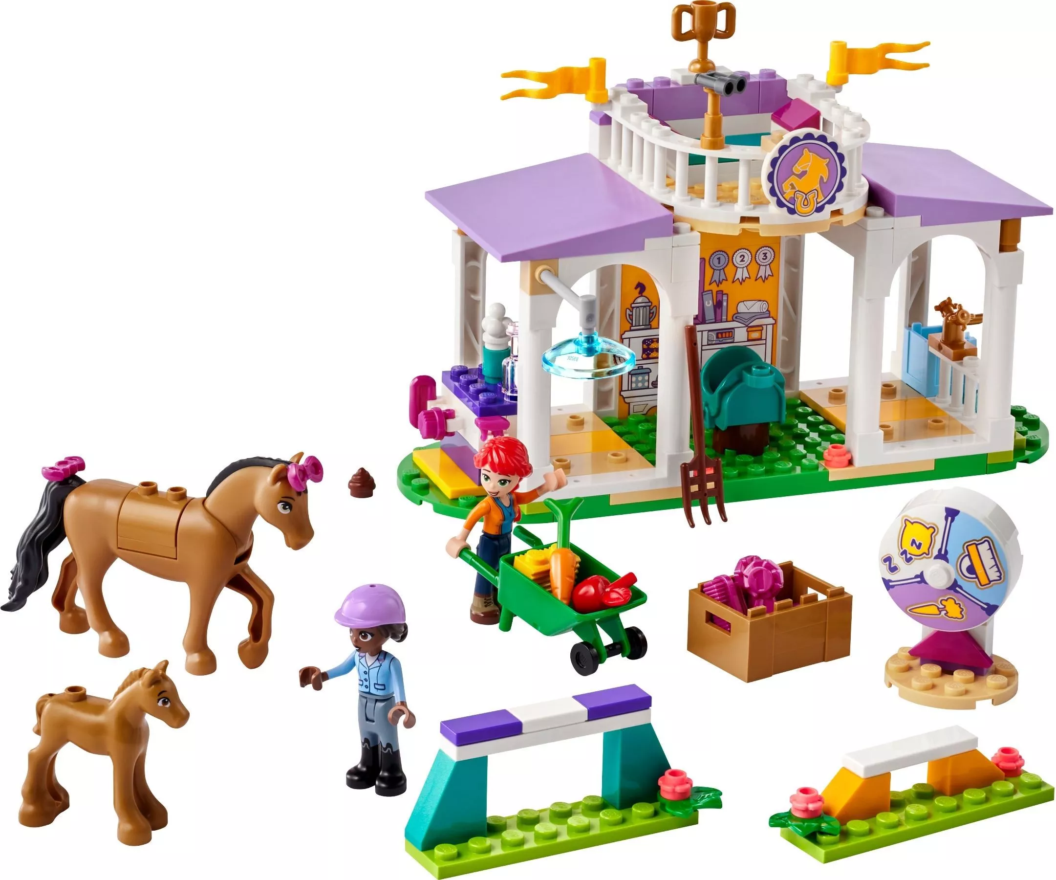 Set LEGO Friends 41746 Horse Training