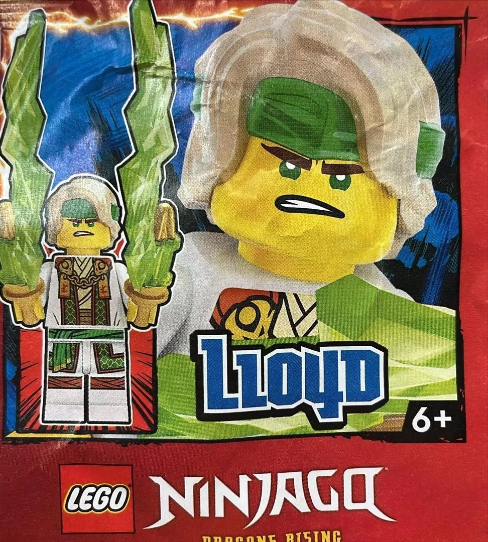 Set LEGO Ninjago 892501 Lloyd