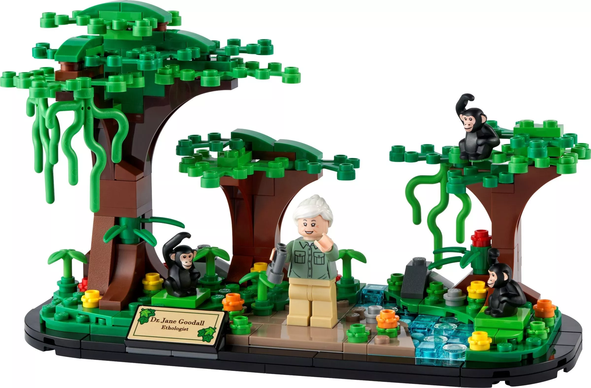 Set LEGO Promotionnel 40530 Jane Goodall Tribute