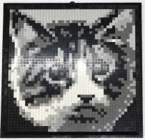 Set LEGO Basic K34431 Mosaic Cat