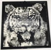 Set LEGO Basic K34434 Mosaic Tiger
