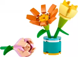 Set LEGO Friends 30634 Friendship Flowers