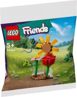 Set LEGO Friends 30659 Flower Garden