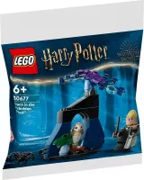 Set 30677 Draco in the Forbidden Forest