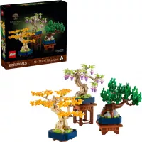 10373 Mini bonsaïs