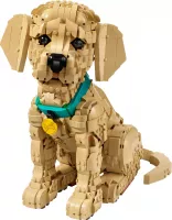 Set  Lego Icons 11384 Le chiot Golden Retriever