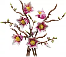 Set  LEGO Icons 11510 Branches de magnolia