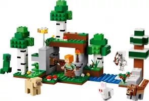 Set  LEGO Minecraft 21593 First Night Adventure