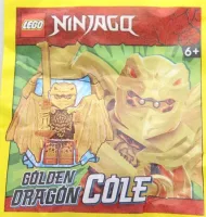 Set LEGO Ninjago 892304 Golden Dragon Cole