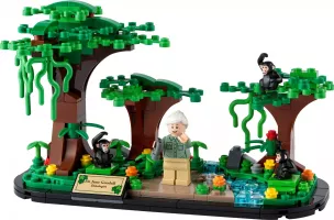 Set LEGO Promotionnel 40530 Jane Goodall Tribute
