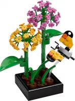 Set LEGO Promotionnel 5009407 Krakow Grand Opening