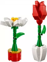 Set  LEGO Saisonnier 40187 Flower Display